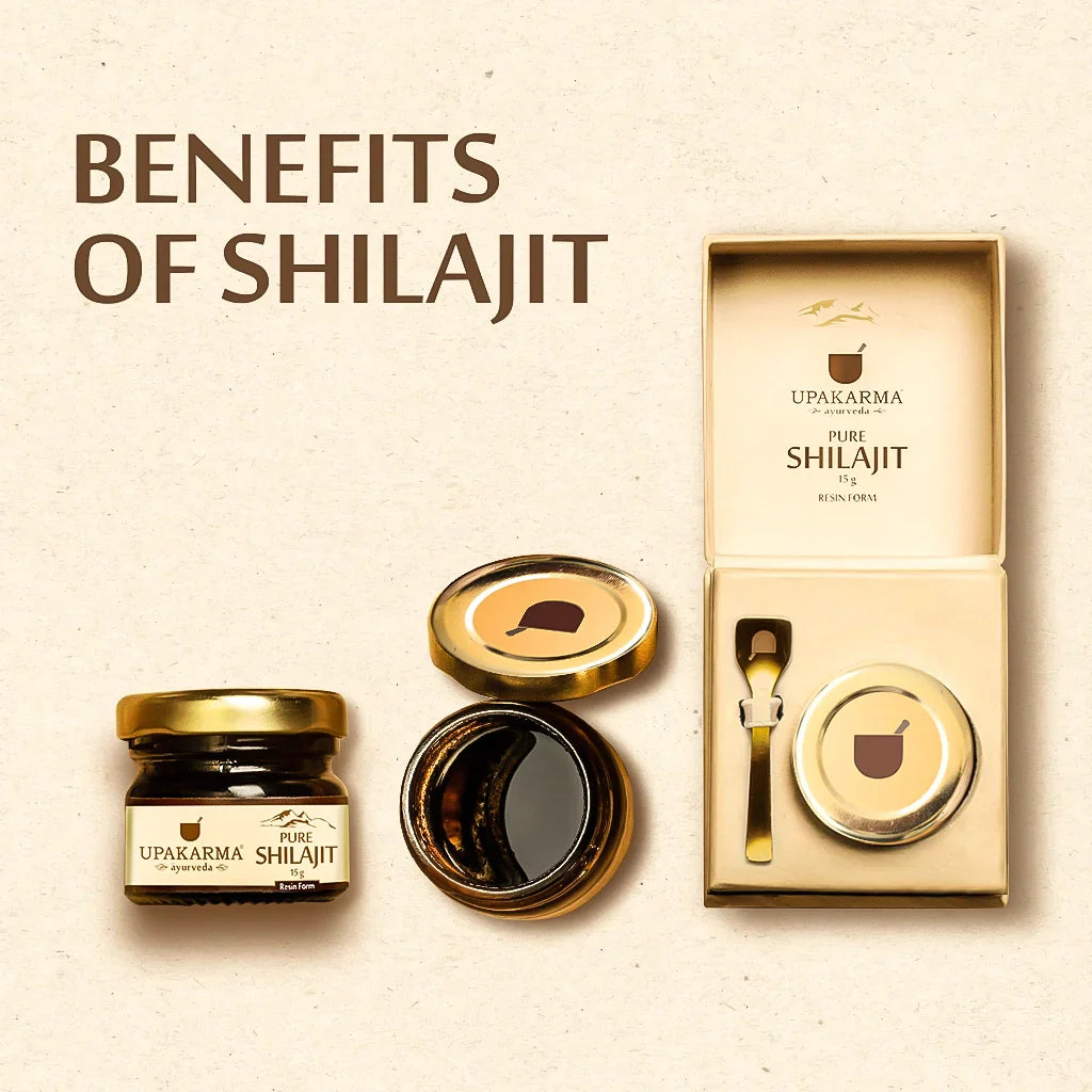Top 10 Amazing Benefits Of Shilajit For Health