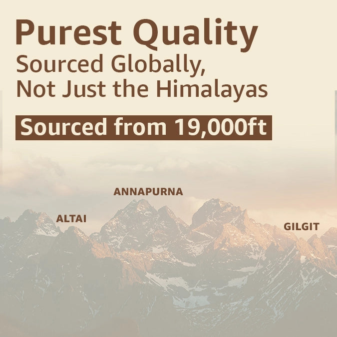 Best Quality shilajit