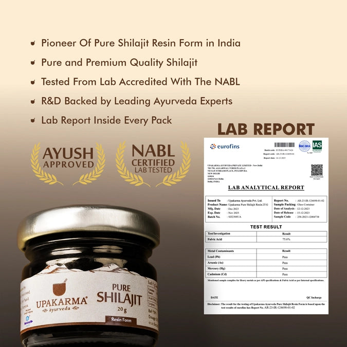Pure Shilajit Resin 20g