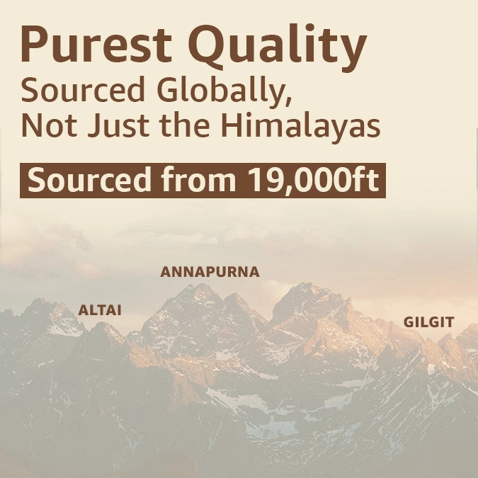 shilajit price in India