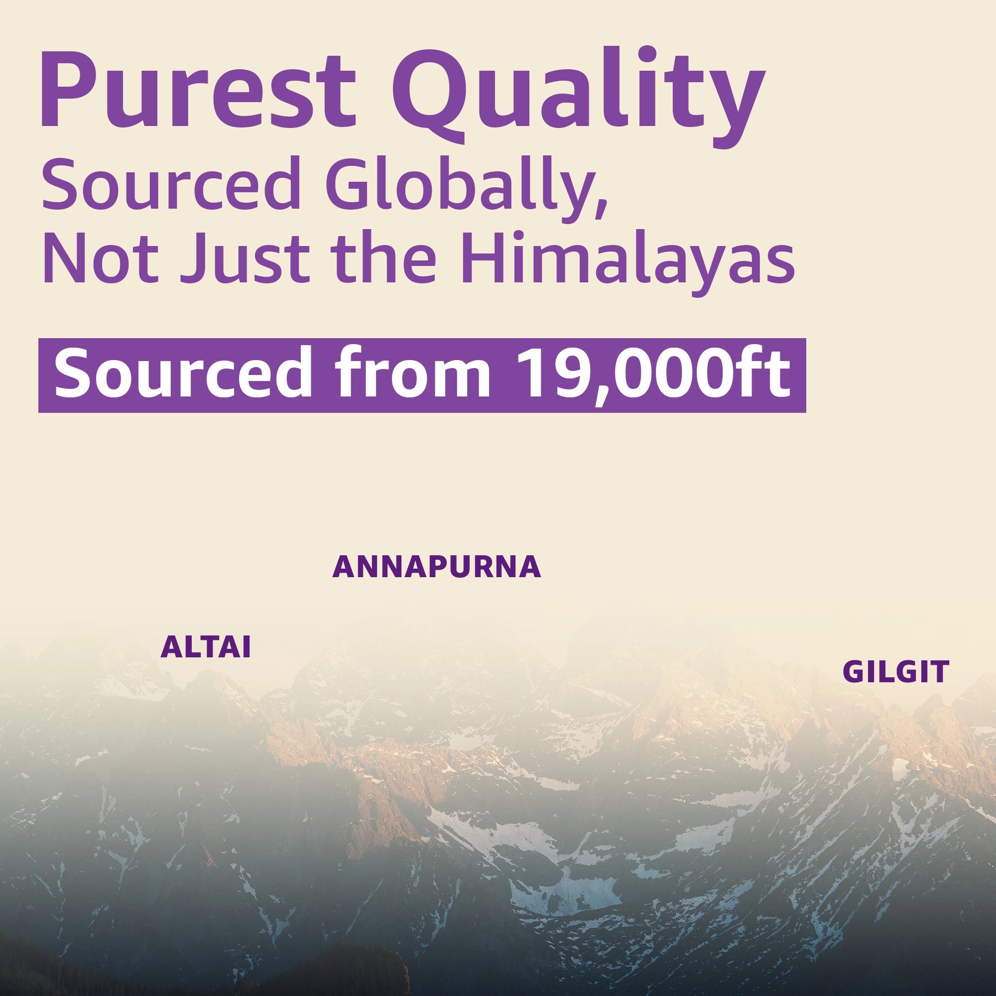 pure shilajit resin