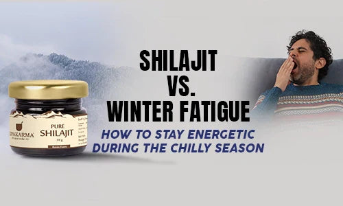 Shilajit vs. Winter Fatigue: How to Stay Energetic During the Chilly Season