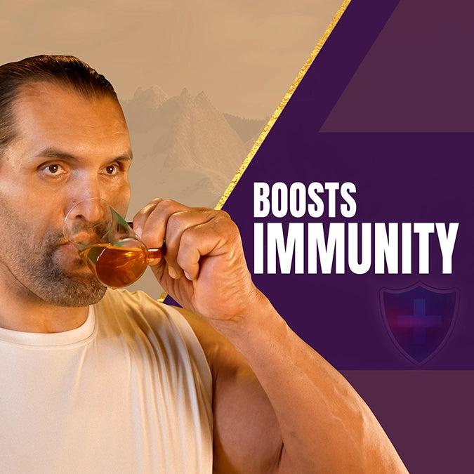 Ashwagandha Gold capsule boost Immunity