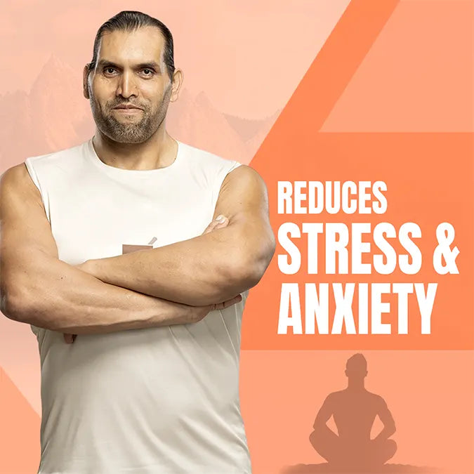 Upakarma Shilajit Effervescent - Orange Flavour