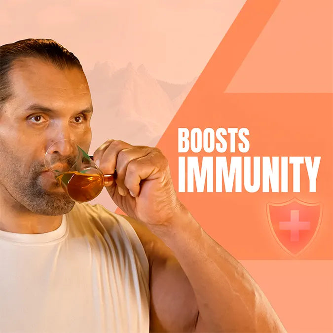 Upakarma Shilajit Effervescent - Orange Flavour