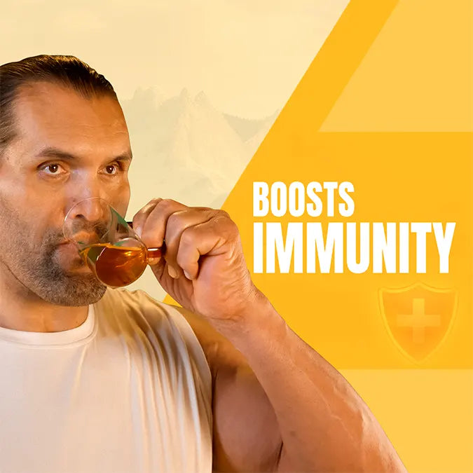 Upakarma Shilajit Effervescent Tablets - Blueberry Flavour