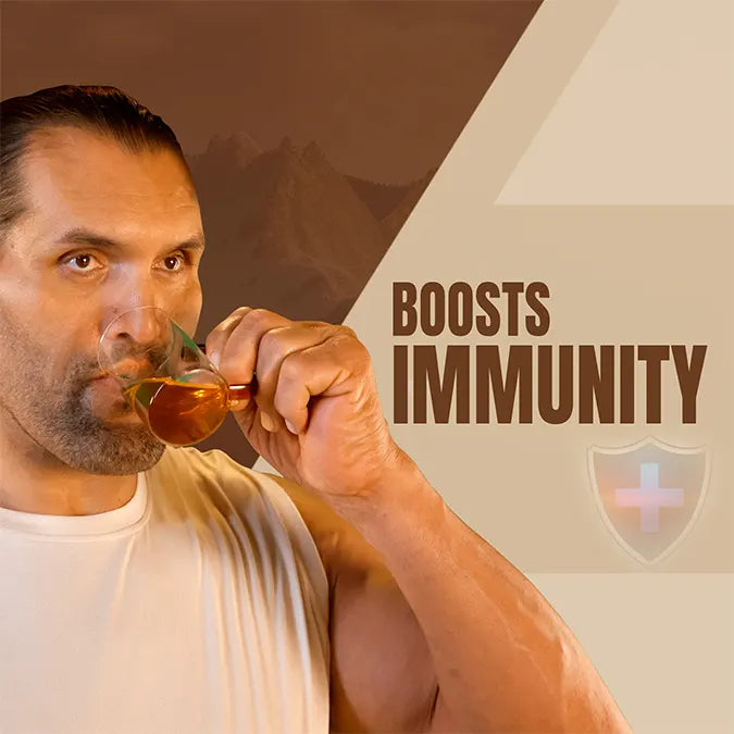 Upakarma Shilajit Effervescent Tablets - 20 Tablets