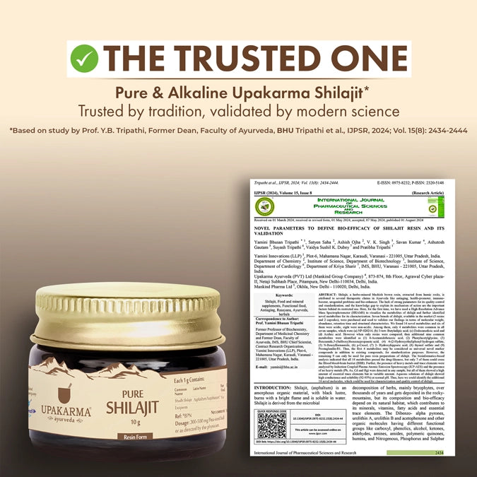 Upakarma Pure Shilajit Resin 40g