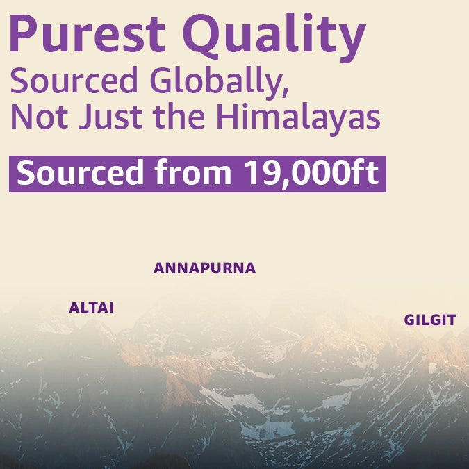 Upakarma Shilajit Resin with Ashwagandha