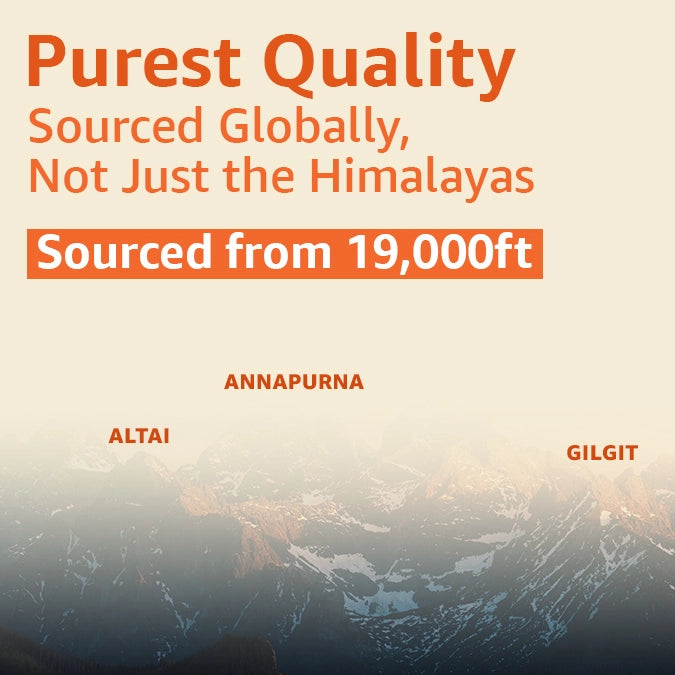 Upakarma Shilajit Resin with Safed Musli
