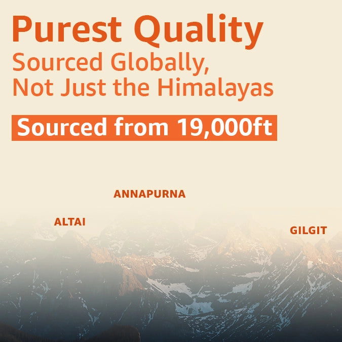 Upakarma Shilajit Resin with Safed Musli 20g