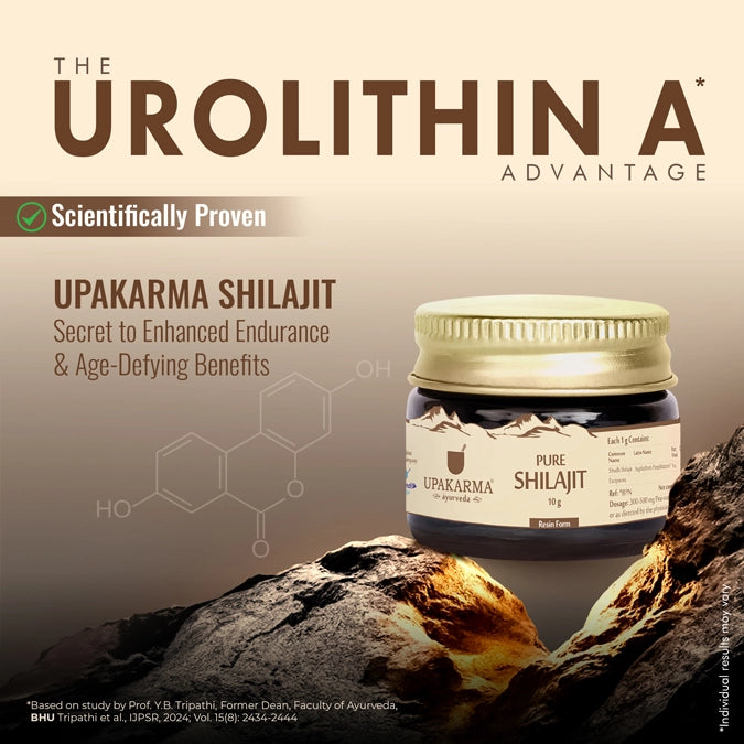 Upakarma Pure Shilajit Resin 40g
