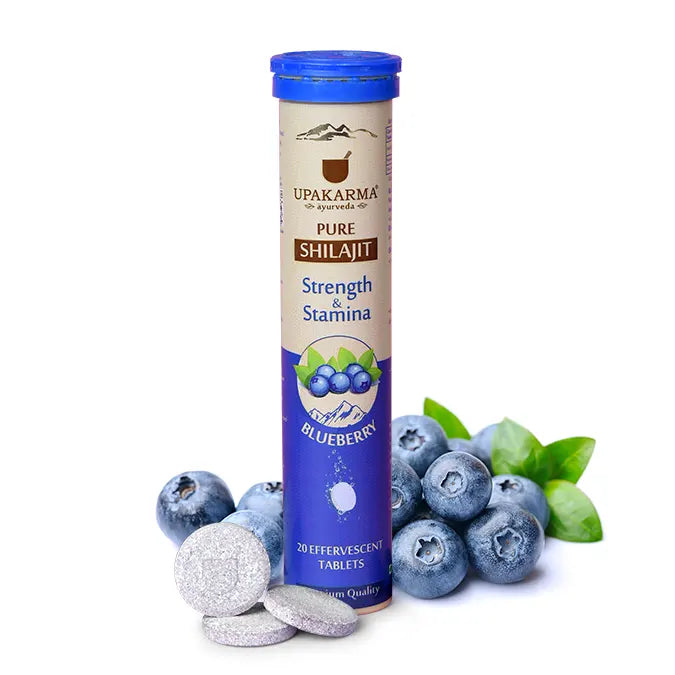 shilajit effervescent blueberry flavor