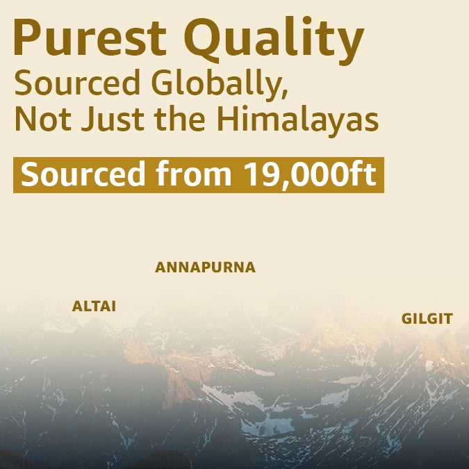 Upakarma Pure Shilajit Resin with Gold Dust