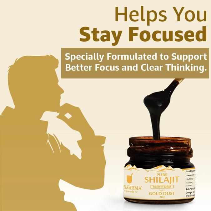 Upakarma Pure Shilajit Resin with Gold Dust 20g