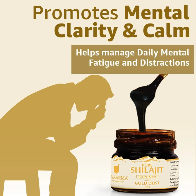 Upakarma Pure Shilajit Resin with Gold Dust 20g