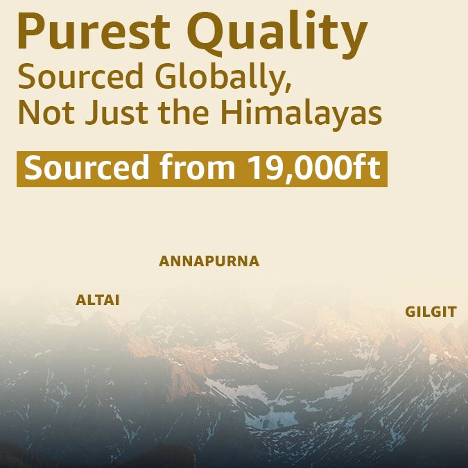 Upakarma Pure Shilajit Resin with Gold Dust 20g